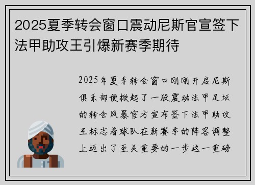 2025夏季转会窗口震动尼斯官宣签下法甲助攻王引爆新赛季期待